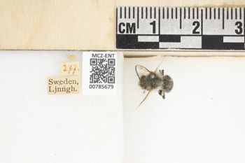 Media type: image;   Entomology 785679 Aspect: Labels